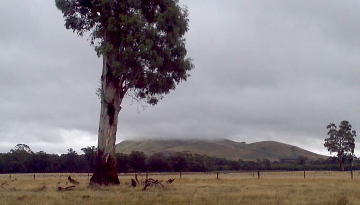 1956856_608685729225829_8934172536559020993_o